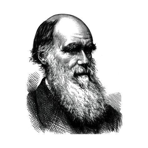 Science Tshirts, Holy Shirt, Charles Darwin, Face Art, Vintage Illustration, Scientists, Baseball Tshirts, Chemistry, Long Sweatshirt