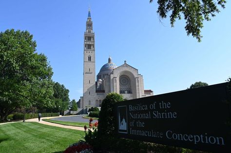 The Body of Christ: The Eucharistic Congress and the fraternity it provides - Catholic Herald Eucharistic Congress, American Continent, Worship Service, Immaculate Conception, Capital City, Pilgrimage, Catholic Church, Cologne Cathedral, Ferry Building San Francisco