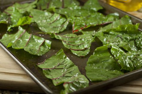 ready Swiss Chard Chips, Red Chard, Swiss Chard Recipes, Chard Recipes, Csa Recipes, Kale Chips, Paleo Snacks, She Left, Swiss Chard