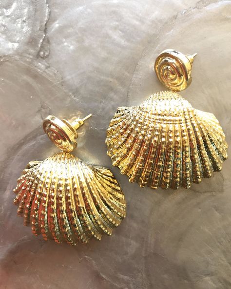 Earrings — Sophia C Ornate Jewelry, Gold Necklace Indian, Seashell Earrings, Mermaid Aesthetic, Seashell Jewelry, Swirl Earrings, Scallop Shells, Earring Studs, Island Girl