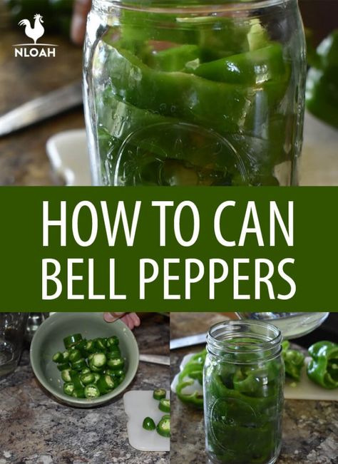 Canning Green Peppers And Onions, Pressure Canning Peppers, Can Bell Peppers, Canned Cayenne Peppers, Preserving Green Bell Peppers, How To Preserve Green Bell Peppers, Canning Onions And Peppers, Canning Green Bell Peppers, What To Do With Bell Peppers Ideas