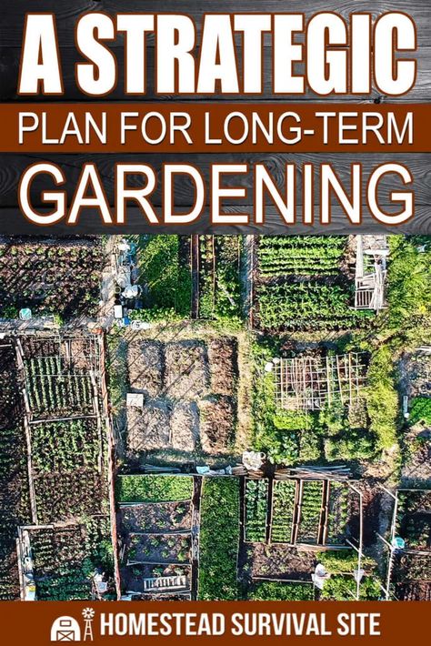 Homestead Garden Layout, Survival Garden, Garden Companion Planting, Succession Planting, Strategic Plan, Homestead Gardens, Planting Plan, Permaculture Gardening, Survival Gardening