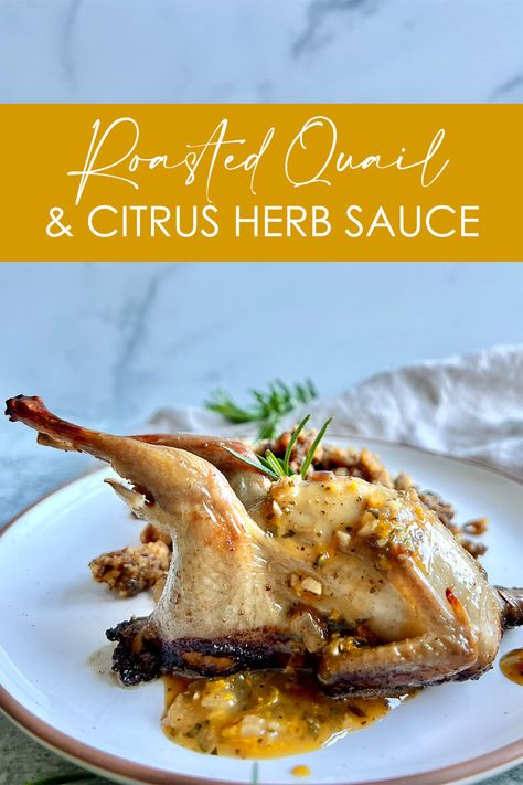 A Roasted Quail & Citrus Herb Sauce on a plate Roasted Quail Recipes, Quail Marinade, Bbq Quail Recipes, Roast Quail Recipes, Wild Game Dinner, Roasted Quail, Homestead Cooking, Quail Recipes, Fried Quail