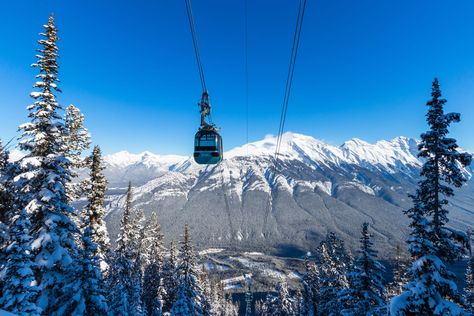 Is the Banff Gondola in winter worth it? - Wapiti Travel Banff Christmas, Banff Hot Springs, Banff Gondola, Things To Do In Banff, Abraham Lake, Winter Park Colorado, Fairmont Banff, Johnston Canyon, Spring Skiing