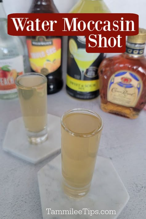 Water Moccasin Drink, Water Moccasin Shot Recipe, Peach Schnapps Shots, Summer Shots Alcohol, Whiskey Shots Recipes, Easy Shots To Make In Bulk, Shots With Triple Sec, Summer Shots Recipes, Peach Schnapps Drinks Recipes