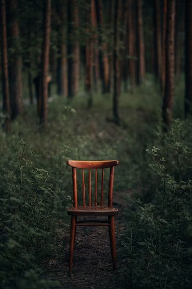 A wooden chair sitting in the middle of a forest photo – Free Chair Image on Unsplash Blur Image Background, Nature Background Images, Photography Studio Background, Blurred Background Photography, Canvas Background, Beach Background Images, Blur Photo Background, Photo Background Images Hd, Studio Background Images