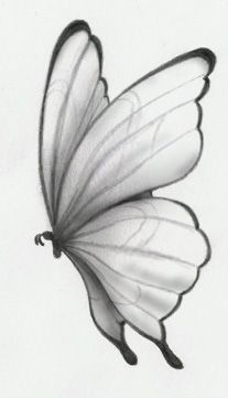 Pencil Drawings Of Nature, Easy Pencil Drawings, Butterfly Art Drawing, Pencil Drawings Of Flowers, Painting Butterfly, Pencil Drawings For Beginners, 강아지 그림, Art Sketches Pencil, Pencil Drawings Easy