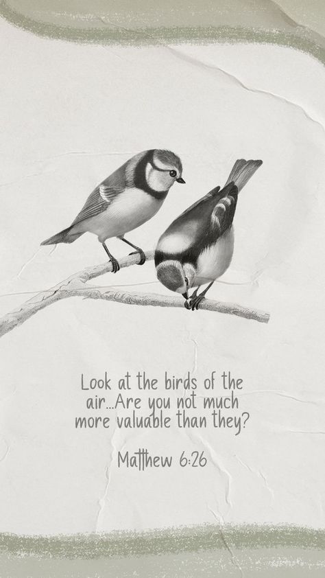 #bibleverse #verseoftheday #birds #art #encouragement #Jesus #God #iphonewallpaper #iphonebackground #christianity #christianart Scripture Drawings, Christ Aesthetic, Aesthetic Christian Wallpaper, Strengthen Faith, Verses Encouragement, Catholic Design, Matthew Bible, Growing Faith, Light Shines In The Darkness