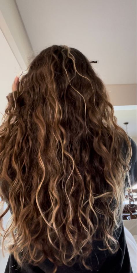 Brunette New Hair Ideas, Long Layered Brown Hair Wavy, Dark Blonde Light Brown Hair Balayage, Sun Bleached Dark Brown Hair, Blond Highlights On Brown Hair Wavy, Wavy Curly Brown Hair, Highlights Wavy Brown Hair, Wavy Brown Hair With Blonde Highlights, Pintura Highlights Wavy Hair