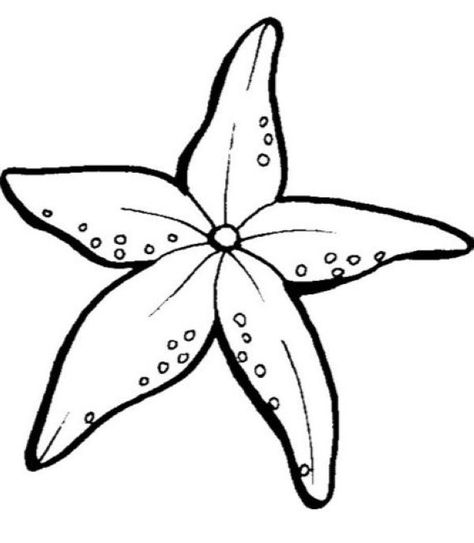 starfish coloring page - Amazing Starfish Coloring Pages Printable Free Starfish Drawing, Starfish Colors, Sea Starfish, Fish Coloring Page, Theme Tattoo, Stella Marina, Printable Coloring Book, Sea Theme, Cool Coloring Pages