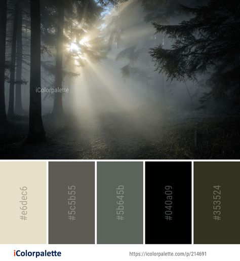 referencia de cor e ambientação Gloomy Colour Palette, Deep Forest Color Palette, Dark Green Pallete, Gloomy Color Palette, Gloomy Palette, Color Inspiration Colour Palettes, Forest Color Palette, Dark Colour Palette, Design Color Palette