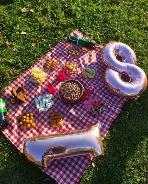 Anna Clara, Pic Nic, Picnic Party, Birthday Photoshoot, 18th Birthday, Baby Love, Picnic Blanket, Outdoor Blanket, Birthday