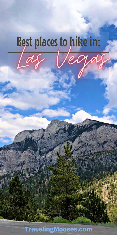 Looking for a fabulous hike in the Las Vegas Area? We have you covered. Read more about the best hikes in Las Vegas from a local! #hikelasvegas #hiking #lasvegas Las Vegas Hiking Trails, Hiking Las Vegas, Vegas Hiking, Las Vegas Itinerary, La Hikes, Beginner Hiking, Best Hikes, Day Hike, Hiking Trails