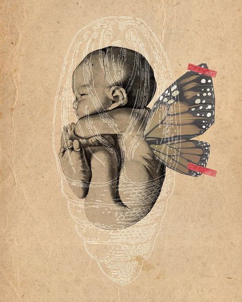 Butterfly Cocoon, Arte Doodle, Conceptual Drawing, Cool Album Covers, Deep Art, Middle Of Nowhere, The Wings, Human Art, Art Inspiration Painting