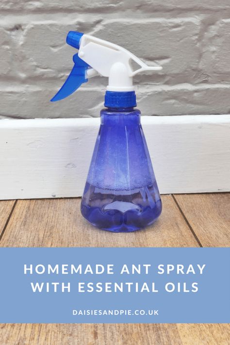 Homemade ant spray with essential oils, natural homekeeping tips, green homemaking Diy Ant Spray, Essential Oils Ants, Homemade Toiletries, Ant Spray, Tiny Ants, Homemade Essential Oil, Insect Spray, Essential Oils For Headaches, Face Scrub Homemade