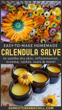 Homemade Salve, Calendula Salve, Herbal Remedies Recipes, Salve Recipes, Herbal Salves, Skincare Secrets, Healing Salves, Herbal Recipes, Natural Healing Remedies