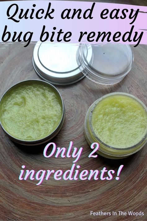 2 small containers of homemade green salve for bug bites. Home Remedy For Mosquito Bites, Insect Bites Remedies, Bug Bites Identifying, Bug Bite Salve, Bug Bite Remedy, Natural Bug Bite Remedy, Apothecary Recipes, Diy Hygiene, Remedies For Mosquito Bites