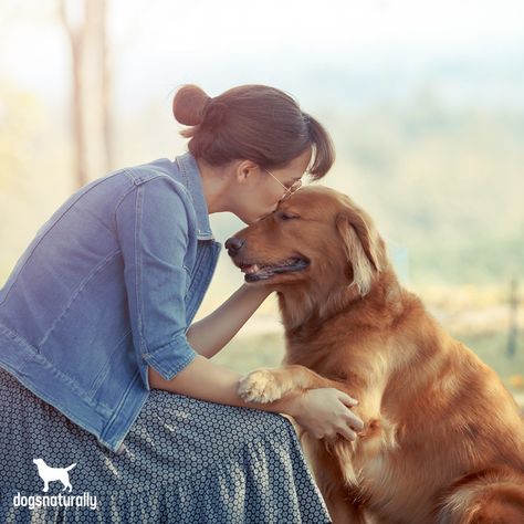 National Pet Parents Day recognizes the pet parents who go the extra mile to care for their fur babies. There is a very special connection, a unique bond, between a pet and his owner.  At Dogs Naturally, we want the world to be a safer place for dogs.   Our holistic vets and experts can help you give your dog the life he deserves …   We believe that one person can make a difference.   And we believe you can be that person. Heartworm Prevention, Australian Labradoodle, Group Of Dogs, Dog Information, Parents Day, Dog Info, Dog Safety, Pet Day, Dogs Golden Retriever