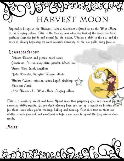 Autumn Equinox:  Harvest Moon Correspondences, for the #Autumn #Equinox. Moon Correspondences, Moon Circle, Moon Spells, Moon Reading, Autumnal Equinox, Full Moon Ritual, Moon Witch, Money Manifestation, Moon Cycles