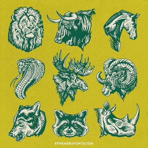 Wild Animal Head Illustration 01  Illustrations collections from one of our contributors @novisouldado ⁣Check out our other collections at ephemerafonts.com⁣  #ephemerafonts #font #typeface #logotype #vintage #logo #lettering #goodtype #type #badges #typeeverything #texture #typography #typostrate #typographyporn #handlettering #vintagelabels #victoriantype #distressedunrest #typespot #typism #signpainter #signwriting #typespire #designinspiration #customtype #typejunkies #illustration #vector Texture Typography, Head Illustration, Draw Logo, Sports Logo Inspiration, Graphic Design Infographic, Animal Study, Animal Head, Mascot Design, Badge Design