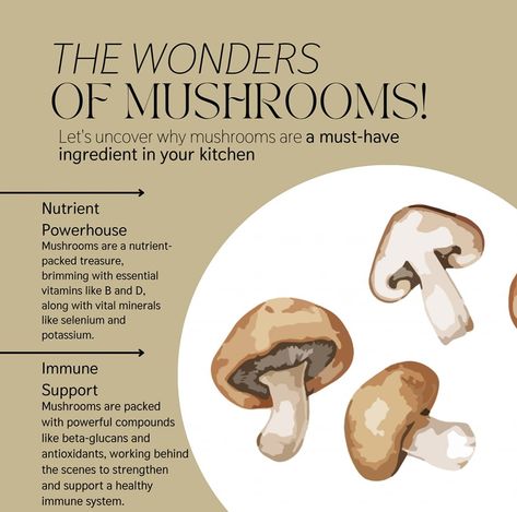 🌿 Unlock the Power of Mushrooms: Your Nutrient-Rich Superfood! 🍄 Mushrooms are more than just a tasty addition to your meals—they’re a superfood packed with incredible health benefits! From portobello to shiitake and cremini, these versatile fungi are rich in antioxidants, vitamin D, and B vitamins that support immune health, brain function, and overall wellness. Low in calories and high in essential nutrients, mushrooms are perfect for adding flavor and nutrition to any dish, whether you’r... Mushroom Benefits, Art Of Cooking, Star Food, B Vitamins, Keto Cooking, Culinary Skills, Cooking Art, Immune Health, Brain Function