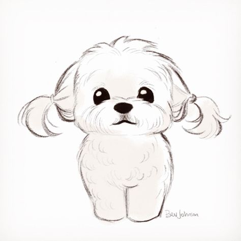 April/May 2021 Character Design & Illustration on Behance Poodle Drawing, Cute Dog Drawing, Puppy Sketch, Dog Sketch, Cute Sketches, 강아지 그림, Pets Drawing, Cute Doodles Drawings, April May