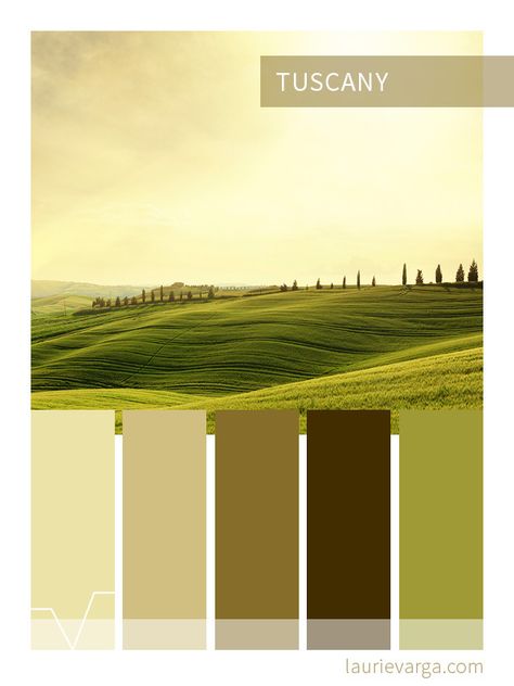 Toscany Environment Colour Palette, Tuscany Color Palette, Tuscan Color Palette, Website Color Themes, Coloring Bliss, Tuscan Colors, Colour Decor, Pantone Palette, Mental Break