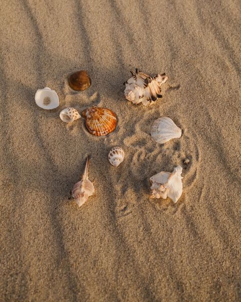 Ready to get inspired by beach vibes and Pinterest-worthy aesthetics? Our Summer Vacay Aesthetic: Beach Essentials is now available for a free download 🖤 . . . #kaboompics #freestockphoto #editorialstockimages #styledphotoshoot #fashion #fashioncollection #fashionbrand #socialmediamarketing #branddesign #femaleentrepreneur #beachaesthetic #summervibes Vacay Aesthetic, Beach Photo Inspiration, Beachy Aesthetic, Book Icons, Photography Challenge, Ocean Vibes, Aesthetic Beach, Island Vibes, Beach Essentials