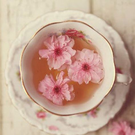 Tea Presentation, Pop Culture Gifts, Pretty Drinks, My Cup Of Tea, Flower Tea, High Tea, Tea Lover, Aesthetic Food, Afternoon Tea