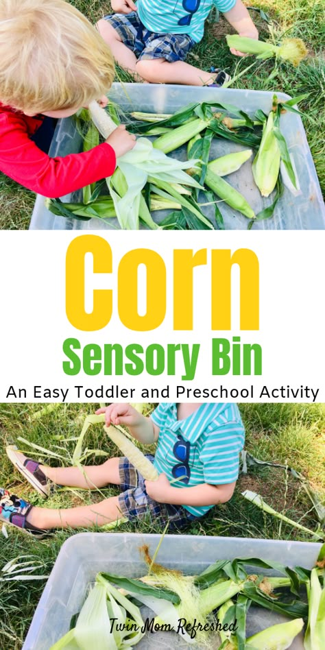 Corn Activities For Kids, Corn Activities For Toddlers, Corn Activities For Preschool, Corn Sensory Bin, Fall Toddler Activities, Corn Activities, Corn Theme, Sensory Bin For Toddlers, Harvest Activities