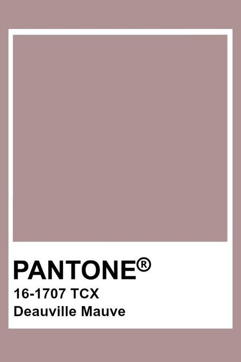 Brown Pantone, Pantone Color Chart, Pantone Swatches, Pantone Colour Palettes, Hex Color Palette, Pink Palette, Kitchen Design Trends, Bedroom Color Schemes, Color Analysis