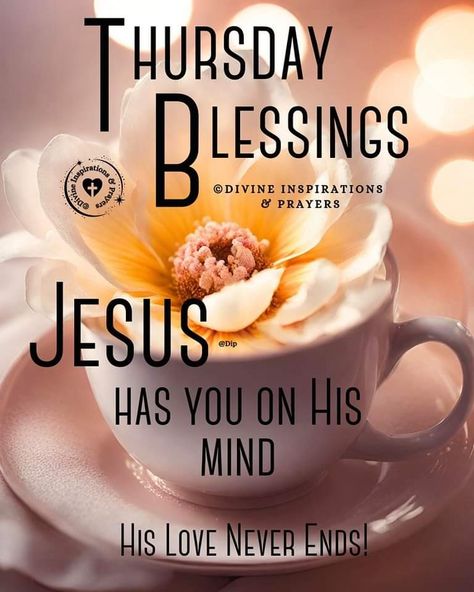 Thursday Blessings Inspiration, Blessed Thursday, Good Morning Thursday Images, Thursday Images, Thursday Greetings, Thursday Blessings, Morning Thursday, Happy Thursday Quotes, Peace Scripture