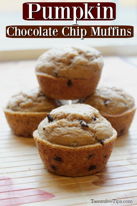 Easy moist pumpkin chocolate chip muffins recipe! Made with mini chocolate chips, Bisquick pancake mix, and a few other ingredients you won't believe how easy these muffins are to make. Perfect for breakfast, brunch, or dessert. Easy Pumpkin Chocolate Chip Muffins, Muffins Chocolate Chip, Pumpkin Chocolate Chip Muffin Recipe, Chocolate Chip Pumpkin Muffins, Alaska Food, Pumpkin Muffins Easy, Donut Muffins, Pumpkin Recipes Easy, Pumpkin Chocolate Chip Muffins