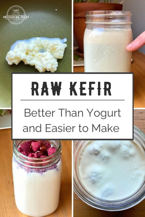 Raw Kefir: Better than Yogurt and Easier to Make! If you don’t know kefir, or you love it but have never made it, it’s time to get excited about learning how easy it is to make raw kefir a home! Learn all about it in this article. #kefir #rawmilk #kefir #rawkefir #milkkefir #guthealth #preservintoday Kefir Grains How To Make, Kefir Cottage Cheese, How To Make Kefir, How To Make Kefir At Home, Recipes With Kefir, Kefir Recipes Ideas, Kefir Yogurt Recipes, Raw Kefir, Homemade Kefir