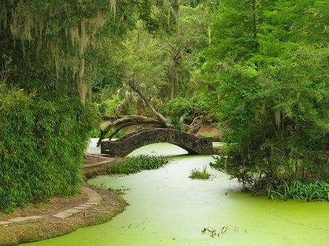 5 Great Warm Weather Destinations in the U.S. Avery Island, Louisiana Travel, Jungle Gardens, Affordable Vacations, South Louisiana, Botanic Gardens, New Orleans Louisiana, Garden Bridge, Budget Travel