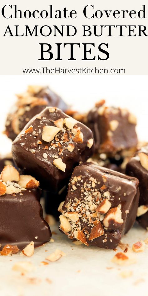 Almond Butter Bites, Recipes With Roasted Almonds, Almond Chocolate, Chocolate With Almonds, Sweet Bites, Date Candy, Almond Butter Truffles, Recipes With Almonds, Almond Joy Energy Bites