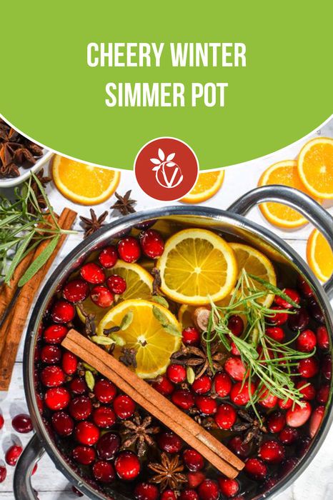 Create a cozy winter ambiance with a simmer pot brimming with cranberries, orange, ginger, cinnamon, cloves and rosemary. Ditch artificial sprays for a long-lasting, mood-lifting, soulful fragrance. Winter Simmer Pot, Cranberry Cinnamon, Simmer Pot, Orange Clove, Cranberry Orange, Herbs And Spices, Fresh Fruits, Cozy Winter, Fresh Fruit