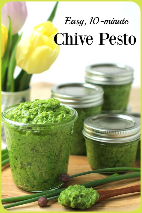 Chive Pesto Chives Recipes, Chive Pesto, Keto Dips, Pesto Recipes, Egg Pasta, How To Make Pesto, Veggie Dip, Canadian Food, Roasted Meat