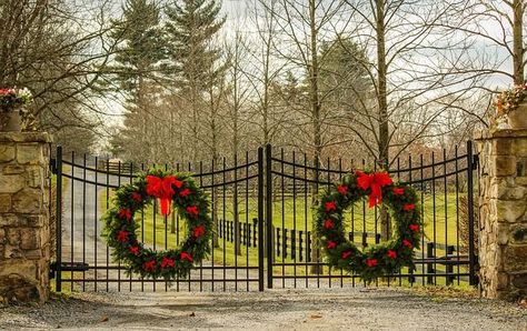 Take a relatively simple wrought iron gate design and accustom it to whatever holiday it is you’re celebrating. Have family and friends coming over for the holidays? These massive wreaths are a gorgeous way to lead them into all the holiday fun that awaits them inside. Farm Gates Entrance, Automatic Gates Driveways, Diy Driveway, Ranch Gates, Home Wreath, Wreath Indoor, Farm Gate, Driveway Entrance, Entrance Gates Design