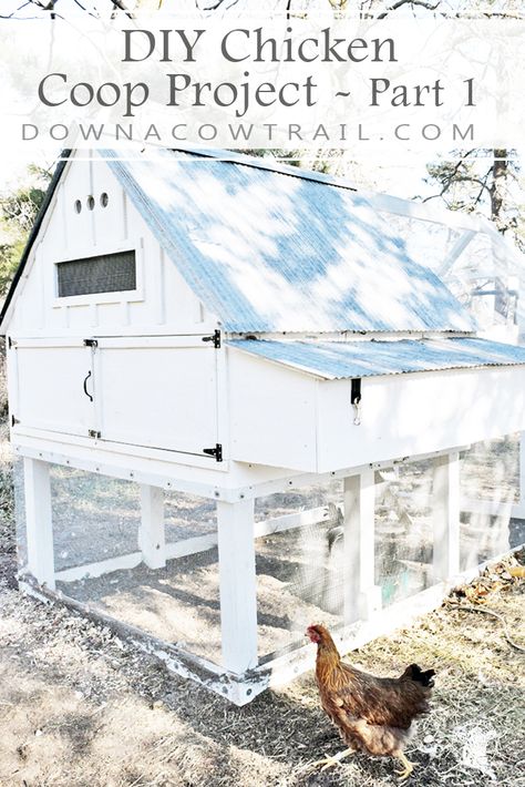 Building a farmhouse style chicken coop for your backyard is a fun DIY project. Our board and batten chicken house is mobile, predator proof and has a walk-in run. #downacowtrail #chickencoop #chickencoopideas #homestead #diyprojects Building A Farmhouse, Farmhouse Chicken Coop, Walk In Chicken Run, Portable Chicken Coop, Chicken Coop Designs, Diy Chicken, Chicken Coop Plans, Backyard Chicken Coops, Diy Chicken Coop