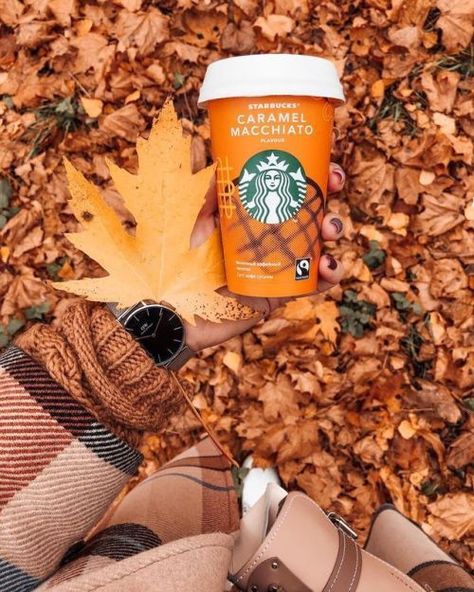 Best Christmas Sugar Cookie Recipe, Starbucks Wallpaper, Fall Tv, Christmas Aesthetic Wallpaper, Coffee Wallpaper, Fall Drinks, Christmas Post, Autumn Coffee, Coffee Signs