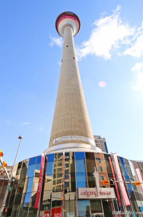 Calgary Tower Sky 360, Calgary Tower, Travel To Canada, Urban Center, Tourist Guide, Computer Repair, Calgary Alberta, Panoramic View, Data Recovery