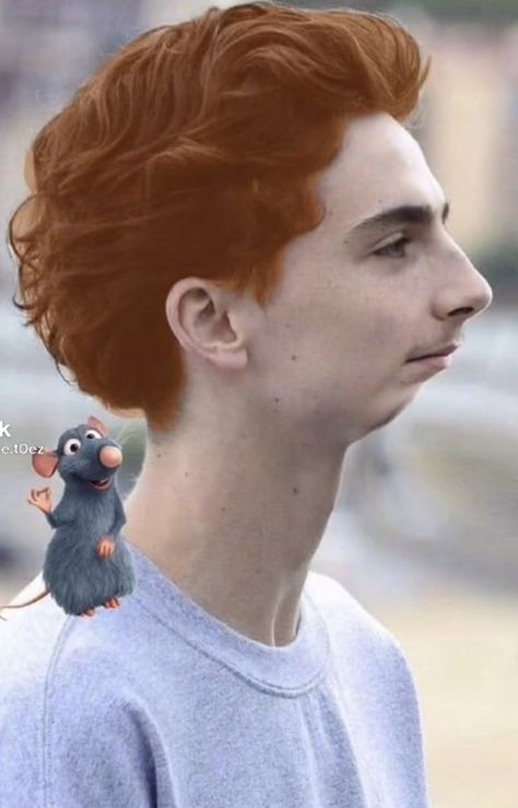 Timothee Chalamet, The Story, Memes, Twitter, Red, Hair