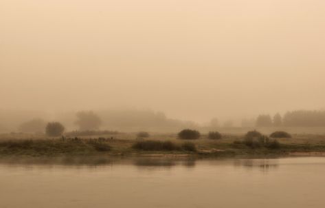 River Fog Nature Foggy, #Fog, #Nature, #Foggy, #River Foggy Landscape, Brainwave Entrainment, River Painting, Brain Waves, Public Domain Images, Photo Backgrounds, Dipping Sauce, Free Pictures, The River