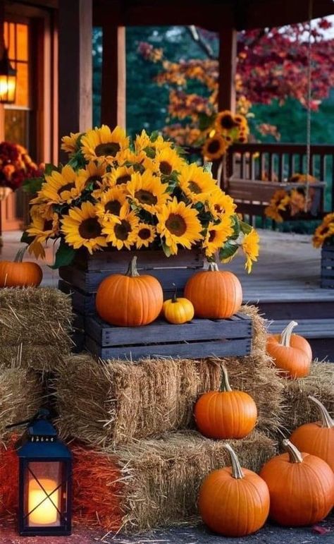 Happy Thanksgiving Wallpaper, Fall Sunflowers, Fall Front Porch Decor Ideas, Fall Party Themes, Porch Decorating Ideas, Fall Front Porch Decor, Fall Decor Ideas, Fall Front Porch, Fall Outdoor Decor