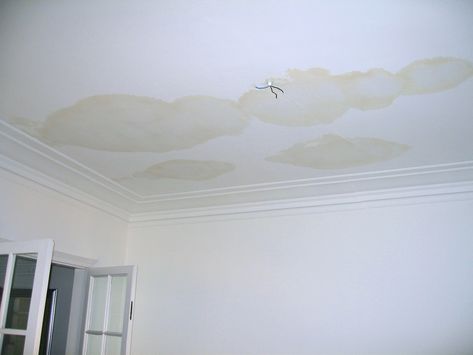 Best Ways to Prevent Water Damage on Your Roof Water Stain On Ceiling, Painting Popcorn Ceiling, Water Damaged Ceiling, Remove Water Stains, Leaky Roof, Ceiling Texture, Popcorn Ceiling, Peeling Paint, Floor Ceiling