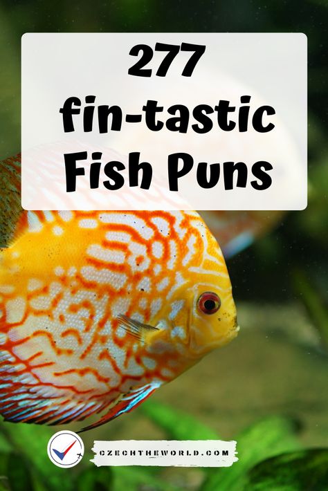 O-fish-all collection of so-fish-ticated Fish Puns and Fish Jokes. ✅ It can't get any Betta than this! ✅ Gill-iant content, ✅ fin-tastic sea world,... Funny Fish Birthday Cards, Fish Quotes Funny, Fishing Puns Funny, Sea Puns, Fish Sayings, Fishing Puns, Fish Jokes, Fish Quotes, Beer Jokes