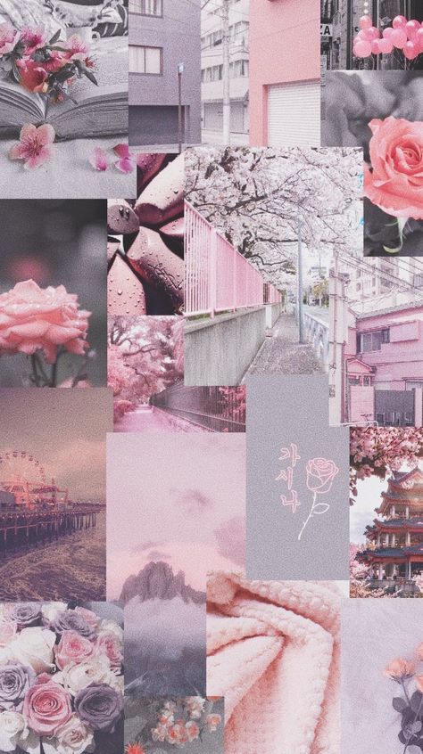 Pink And Grey Aesthetic, Pink And Grey Wallpaper, Grey Wallpaper Iphone, Grey Aesthetic, Color Splash Photography, Butterfly Wallpaper Iphone, View Wallpaper, Simple Iphone Wallpaper