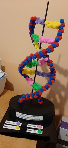 Recycled Dna Model, Creative Dna Model Project, Dna Strand Model, Dna Double Helix Model Projects, Model Of Dna Project, Dna Models Projects, Creative Biology Projects, 3d Dna Structure Project, Dna School Project