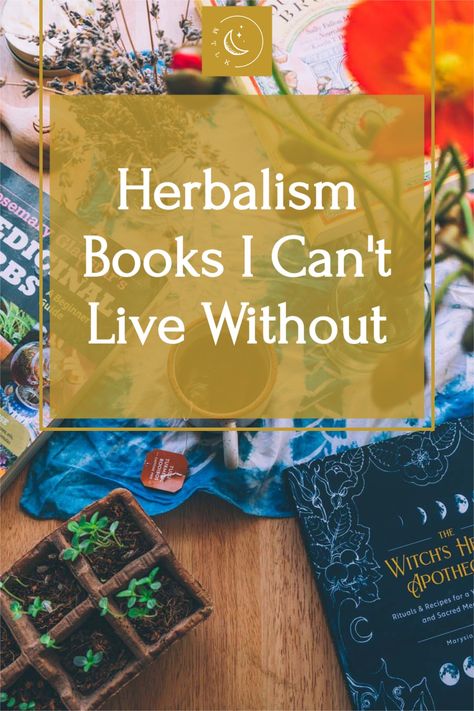 Herbalism Books, Herbal Oil Recipes, Herbalism For Beginners, Medicinal Herbs Remedies, Homemade Medicine, Herbal Education, Herbs Remedies, Moon Milk, Home Apothecary